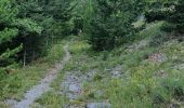 Trail Walking Chorges - col de la gardette tentative christine - Photo 10