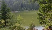 Tour Wandern Sulzern - Lac Vert - Lac Forlet Sity - Photo 7