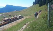 Trail Nordic walking Lans-en-Vercors - Charande en circuit - Photo 5