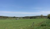 Trail Walking Neufchâteau - Massul - Bois Ramon - Gros Bois - Photo 4