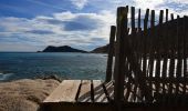 Randonnée Marche Ramatuelle - Bonne Terrasse - Cap Camarat - Plage de l'Escalet - Pointe de la Douane - Cap Lardier - Pointe de Brouis - Plage de Gigaro - Photo 10