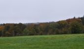 Tour Wandern Sprimont - 20241021 - Banneux 6.5 Km - Photo 11