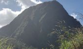 Tocht Stappen Salazie - Piton d'Anchain - Photo 16