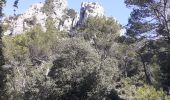 Randonnée Marche La Roquebrussanne - Source des Orris rochers menhirs (83) - Photo 2