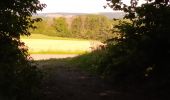 Tour Wandern Anhée - Bois de la Croix de Banse et Bois de Ronquière - Photo 9