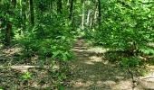 Trail Walking Vendôme - Randonnée dans le Bois de l'Oratoire à Vendôme  - Photo 10