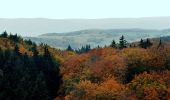 Tour Zu Fuß Sangerhausen - Sangerhausen Lengefeld Morungen - Photo 6