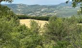 Trail Horseback riding Céreste - Provence 2025 J3 - Photo 12