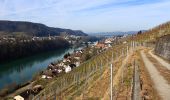 Trail On foot Buchberg - Buchberg - Eglisau Brücke - Photo 4