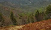 Randonnée Marche Astet - tour de poignet depuis col du pendu - Photo 2