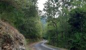 Tocht Stappen Montferrer - Montferrer . El Castel . Puig de Vilafort -  retour par la piste  - Photo 2