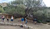 Trail Walking Palasca - corse - Photo 6