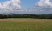 Tour Zu Fuß Heimbach - Eifeler Steilküste - Photo 4