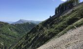 Trail Mountain bike Veynes - Cols de Matacharre et de la Conode - Photo 16