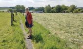 Tour Wandern Pont-à-Celles - 2020-05-13 Liberchies (Viesville) 16 Km - Photo 10