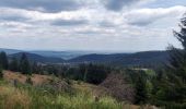 Trail Horseback riding Mollkirch - 2020-07-14 Picnic Jaegertannel Fransluhr Guirbaden  - Photo 1