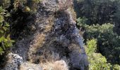 Trail Walking Ponet-et-Saint-Auban - Ponet-et-St-Auban - Montagne de Desse - Marignac - Photo 10