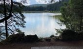 Excursión Senderismo Le Valtin - Le lac vert - Photo 8