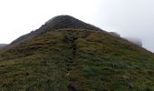 Tour Wandern Omblèze - Le tour du Roc de Toulau - Photo 11