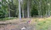 Trail Walking Vielsalm - Initiation bivouac j1 - Photo 6