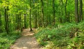 Trail Walking Gerpinnes - Balade dans le bois de Loverval - Photo 5