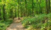 Tocht Stappen Gerpinnes - Balade dans le bois de Loverval - Photo 5