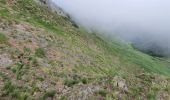 Percorso Marcia Ferrère - montagne d'Areng depuis la piste forestière après Férrères - Photo 9