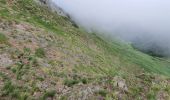 Tocht Stappen Ferrère - montagne d'Areng depuis la piste forestière après Férrères - Photo 9