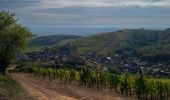 Excursión Caballo Labaroche - Labaroche - kaysesberg - Photo 10