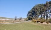 Tocht Te voet Unknown - Pennine Way (Tan Hill to Kirk Yetholm) - deviation - Photo 9