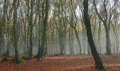 Tocht Te voet Auetal - R1 Rundwanderweg Rodenberg Nr. 1 - Photo 3