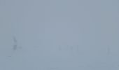 Percorso Racchette da neve Aragnouet - Piau-Engaly: Le Col A/R (Brouillard) - Photo 3