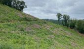 Randonnée Marche Bourscheid - Escapardenne Lee Trail: Moulin de Bourscheid - Hoscheid - Photo 10