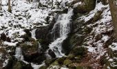 Excursión Senderismo Neuviller-la-Roche - Natzwiller - cascade de la Serva - Champ du Feu - Photo 1