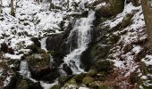 Tocht Stappen Neuviller-la-Roche - Natzwiller - cascade de la Serva - Champ du Feu - Photo 1