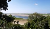 Randonnée Marche Saint-Valery-sur-Somme - Baie de Somme - Photo 4