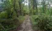 Trail Walking Riemst - petite incursion en Hollande  - Photo 8