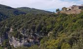 Tour Wandern Buoux - Buoux, le Château, la Chapelle, les Crêtes - Photo 6