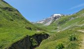 Excursión Senderismo Pralognan-la-Vanoise - Prioux, Chapendu - Photo 4