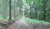 Tour Wandern Stablo - rando de la truite : stavelot . challes . warche . chevaufosse . challes . stavelot - Photo 3