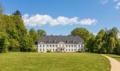 Tour Zu Fuß Kosel - Schleiroute an der Großen Breite - Photo 10