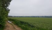 Tocht Stappen Luik - Rocourt - Oupeye - Rocourt  - Photo 3