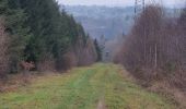 Tour Wandern La Roche-en-Ardenne - rando warempage 10/12/2020 - Photo 4