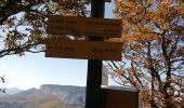 Tocht Stappen Apremont - col du Granier / pointe de la Gorgeat - Photo 16