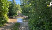 Percorso Mountainbike Ormoy-le-Davien - Boucle Ormoy le Davien - Mareuil sur Ourcq -  Ormoy le Davien - Photo 13