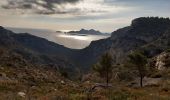 Tocht Stappen Marseille - Marseille-Callelongue : Cols de la Galinette et de la Selle-Grand Malvallon-Calanques Marseille Veyre et de la Mounine - Photo 3