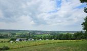 Tour Wandern Vaals - 2022-11-11_17h47m43_wandelroute---cittaslow-rondje-viele - Photo 1