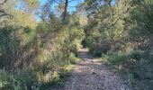 Trail Walking Draguignan - Draguignan Malmont 10 km - Photo 3