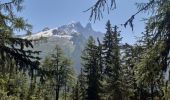 Excursión Senderismo Chamonix-Mont-Blanc - la flegere - Photo 1