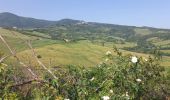 Tour Wandern Castiglione d'Orcia - SityTrail - San Quirico / Radicofani - Photo 9